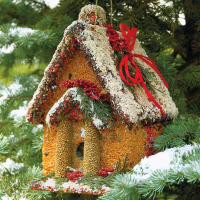 Birdseed Wreaths, Birdhouses, Ornaments (View All)